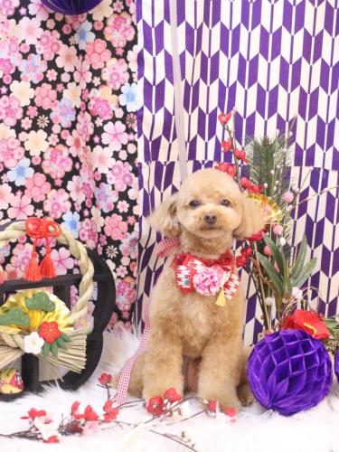 20250119ララちゃん